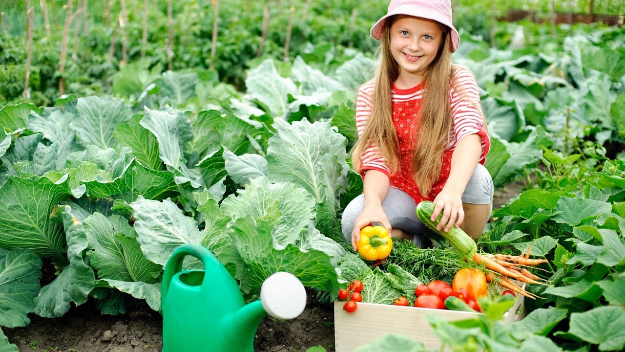 VEGETABLE GARDENING FOR BEGINNERS