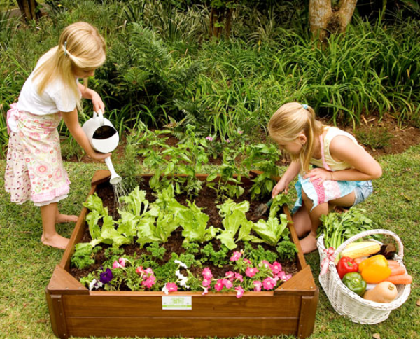 Grow Lots of Vegetables in Small Places