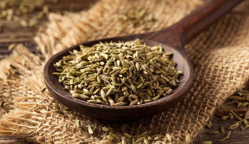 10 Science Backed Benefits of Fennel Seeds Water and How to Use It Daily for Better Health
