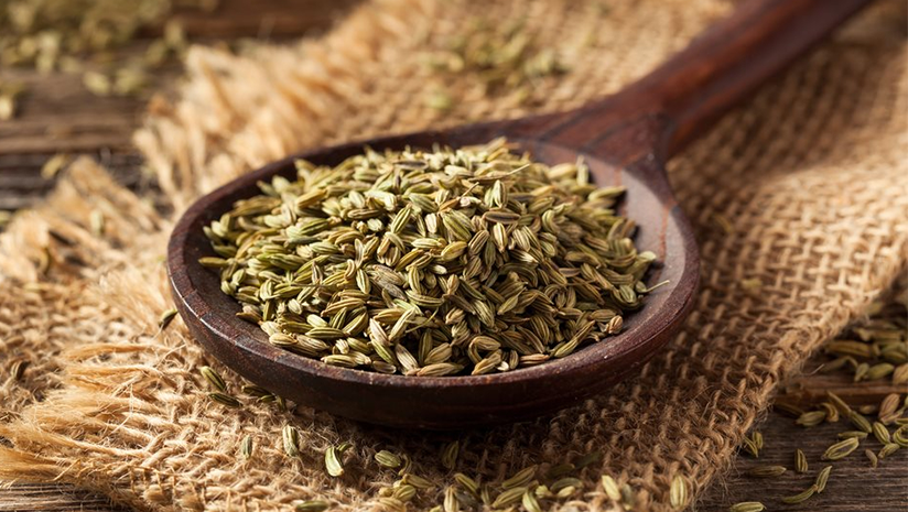 Fennel Seeds Water amazing benefits
